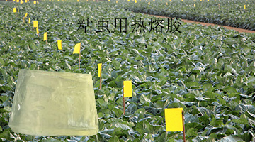 必赢亚洲·bwin(中国区)官方网站