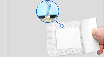 必赢亚洲·bwin(中国区)官方网站