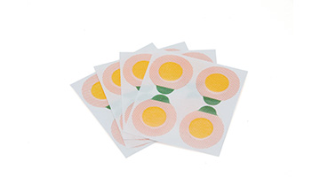 必赢亚洲·bwin(中国区)官方网站